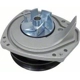 Purchase Top-Quality New Water Pump by US MOTOR WORKS - US8102 pa3