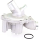 Purchase Top-Quality New Water Pump by VAICO - V20-50041 pa2