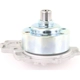 Purchase Top-Quality New Water Pump by VAICO - V30-50081 pa7