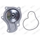Purchase Top-Quality New Water Pump by WORLDPARTS - 943500 pa2