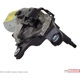 Purchase Top-Quality New Wiper Motor by MOTORCRAFT - WM800 pa4