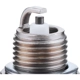 Purchase Top-Quality Non Resistor Copper Plug (Pack of 4) by AUTOLITE - 437 pa5
