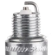 Purchase Top-Quality CHAMPION SPARK PLUG - 806 - Nickel Spark Plug (Pack of 4) pa4