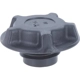 Purchase Top-Quality Oil Cap by MOTORAD - MO81 pa19