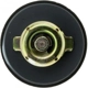 Purchase Top-Quality Oil Cap by MOTORAD - MO116 pa12