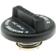 Purchase Top-Quality Oil Cap by MOTORAD - MO116 pa13