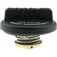 Purchase Top-Quality Oil Cap by MOTORAD - MO116 pa15
