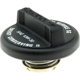 Purchase Top-Quality Oil Cap by MOTORAD - MO116 pa16