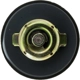 Purchase Top-Quality Oil Cap by MOTORAD - MO116 pa17