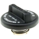 Purchase Top-Quality Oil Cap by MOTORAD - MO116 pa2