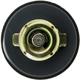 Purchase Top-Quality Oil Cap by MOTORAD - MO116 pa7