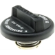 Purchase Top-Quality Oil Cap by MOTORAD - MO116 pa8