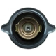 Purchase Top-Quality Oil Cap by MOTORAD - MO66 pa8
