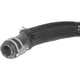 Purchase Top-Quality Oil Cooler Hose Assembly by DORMAN - 625-503 pa1