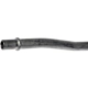 Purchase Top-Quality DORMAN - 625-631 - Engine Oil Cooler Hose Assembly pa2