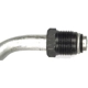 Purchase Top-Quality Oil Cooler Hose Assembly by DORMAN (OE SOLUTIONS) - 625-109 pa5