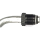 Purchase Top-Quality Oil Cooler Hose Assembly by DORMAN (OE SOLUTIONS) - 625-110 pa6