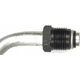 Purchase Top-Quality Oil Cooler Hose Assembly by DORMAN (OE SOLUTIONS) - 625-118 pa2
