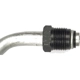 Purchase Top-Quality Oil Cooler Hose Assembly by DORMAN (OE SOLUTIONS) - 625-118 pa6