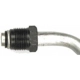 Purchase Top-Quality Oil Cooler Hose Assembly by DORMAN (OE SOLUTIONS) - 625-119 pa1