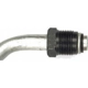 Purchase Top-Quality Oil Cooler Hose Assembly by DORMAN (OE SOLUTIONS) - 625-119 pa2