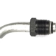 Purchase Top-Quality Oil Cooler Hose Assembly by DORMAN (OE SOLUTIONS) - 625-119 pa6