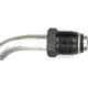 Purchase Top-Quality Oil Cooler Hose Assembly by DORMAN (OE SOLUTIONS) - 625-119 pa7