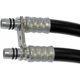Purchase Top-Quality Oil Cooler Hose Assembly by DORMAN (OE SOLUTIONS) - 625-200 pa1