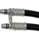 Purchase Top-Quality Oil Cooler Hose Assembly by DORMAN (OE SOLUTIONS) - 625-200 pa5