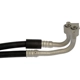 Purchase Top-Quality DORMAN (OE SOLUTIONS) - 625-201 - Oil Cooler Hose Assembly pa6