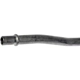 Purchase Top-Quality Oil Cooler Hose Assembly by DORMAN (OE SOLUTIONS) - 625-631 pa6