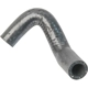 Purchase Top-Quality Oil Cooler Hose Assembly by URO - 021121096 pa1