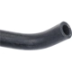 Purchase Top-Quality Oil Cooler Hose Assembly by URO - 1236179 pa6