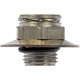 Purchase Top-Quality DORMAN (OE SOLUTIONS) - 800-619 - Oil Cooler Line Connector (Transmission) pa3