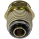 Purchase Top-Quality Oil Cooler Line Connector (Transmission) by DORMAN (OE SOLUTIONS) - 800-721 pa2