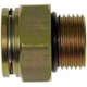 Purchase Top-Quality Oil Cooler Line Connector (Transmission) by DORMAN (OE SOLUTIONS) - 800-726 pa1