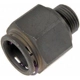 Purchase Top-Quality Oil Cooler Line Connector (Transmission) by DORMAN (OE SOLUTIONS) - 800-743 pa2