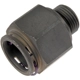 Purchase Top-Quality Oil Cooler Line Connector (Transmission) by DORMAN (OE SOLUTIONS) - 800-743 pa3