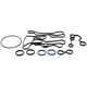 Purchase Top-Quality Oil Cooler Seal Set by DORMAN - 904939 pa2