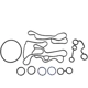 Purchase Top-Quality Oil Cooler Seal Set by DORMAN (OE SOLUTIONS) - 904939 pa4