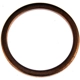Purchase Top-Quality Oil Drain Plug Gasket by DORMAN/AUTOGRADE - 095-005 pa1
