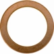 Purchase Top-Quality Oil Drain Plug Gasket by DORMAN (OE SOLUTIONS) - 095002 pa1
