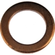 Purchase Top-Quality Oil Drain Plug Gasket by DORMAN (OE SOLUTIONS) - 095003 pa1