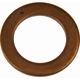 Purchase Top-Quality Oil Drain Plug Gasket by DORMAN (OE SOLUTIONS) - 095019 pa1