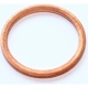 Purchase Top-Quality Oil Drain Plug Gasket (Pack of 100) by ELRING - DAS ORIGINAL - 122.505 pa1