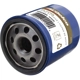Purchase Top-Quality ACDELCO - PF1233F - Engine Oil Filter Kit pa3