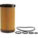 Purchase Top-Quality Oil Filter by ACDELCO PROFESSIONAL - PF2247G pa2