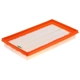 Purchase Top-Quality FRAM - CA12289 - AIR FILTER pa1