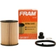 Purchase Top-Quality Filtre à l'huile de FRAM - CH12811 pa4