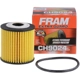 Purchase Top-Quality FRAM - CH9024 - Oil Filter pa7